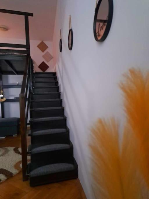 Sofia'S Home Comfy Studio In The Old Town Braszów Zewnętrze zdjęcie